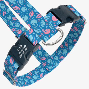 closeup view of harness with personalized buckle