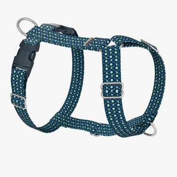 front view of harness