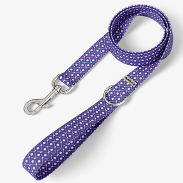 front view of leash