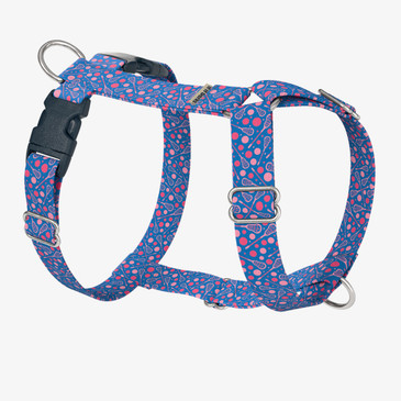 front view of harness