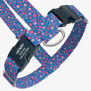 closeup view of harness with personalized buckle