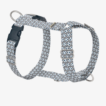 front view of harness