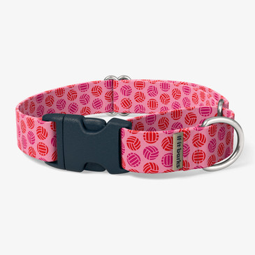 front view of collar