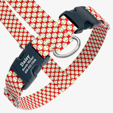 closeup view of harness with personalized buckle