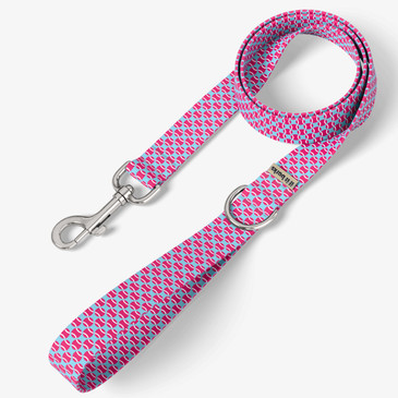 front view of leash