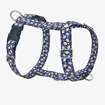 front view of harness