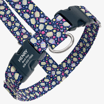 closeup view of harness with personalized buckle