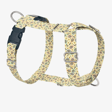 front view of harness