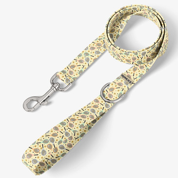 front view of leash