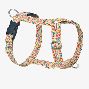 front view of harness
