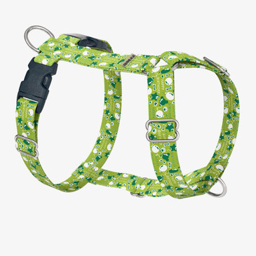 front view of harness