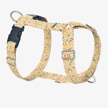 front view of harness