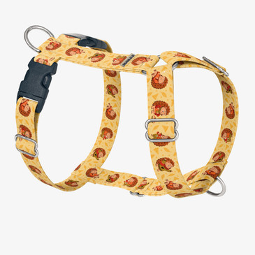 front view of harness
