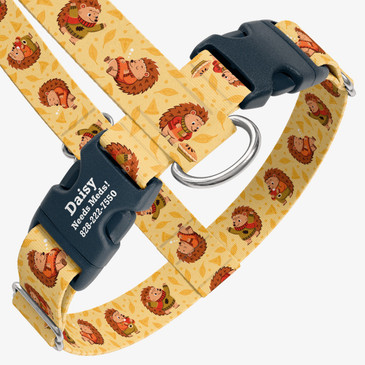 closeup view of harness with personalized buckle