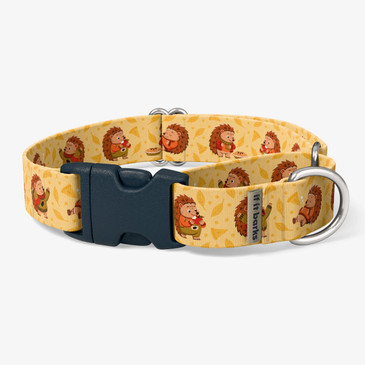 front view of collar