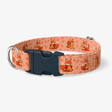 image of front of collar.