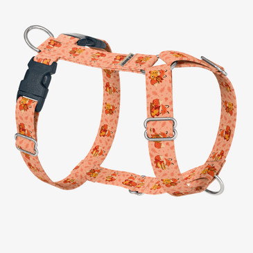 front view of harness