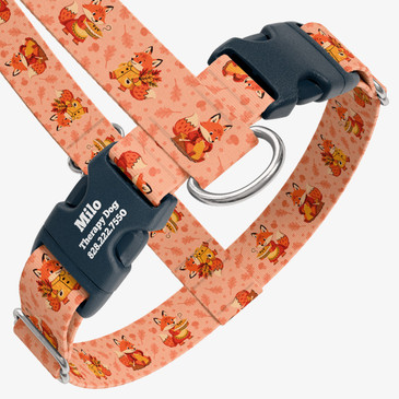 closeup view of harness with personalized buckle