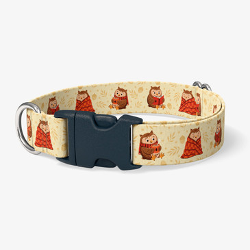 image of front of collar.