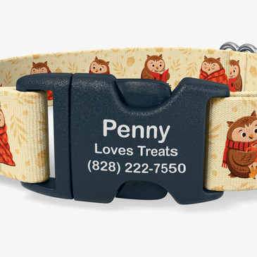 closeup of buckle personalization