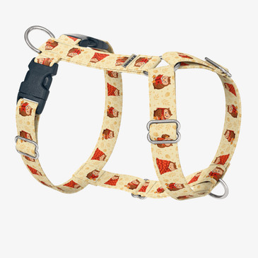 front view of harness