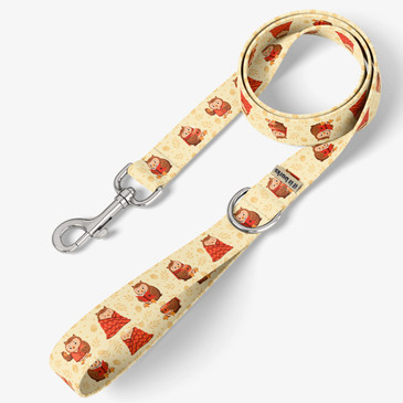 front view of leash