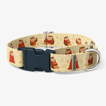 front view of collar
