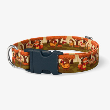 image of front of collar.