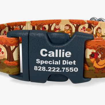 closeup of buckle personalization