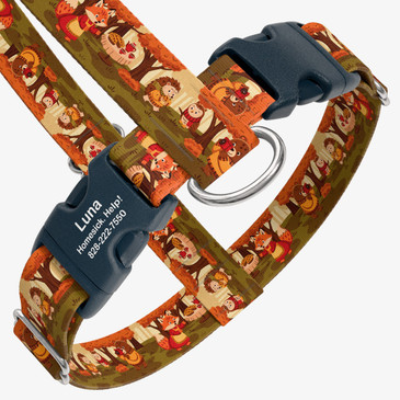 closeup view of harness with personalized buckle