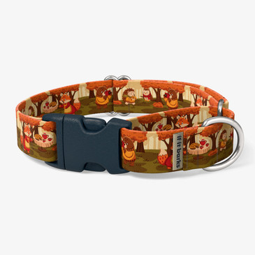 front view of collar