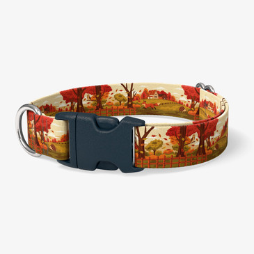 image of front of collar.