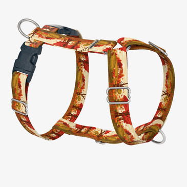 front view of harness