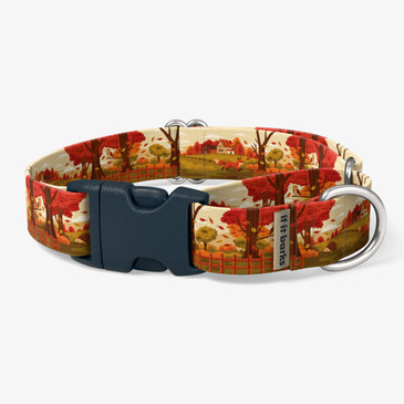 front view of collar