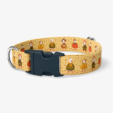 image of front of collar.