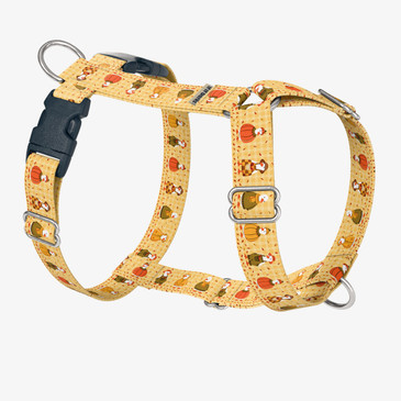 front view of harness