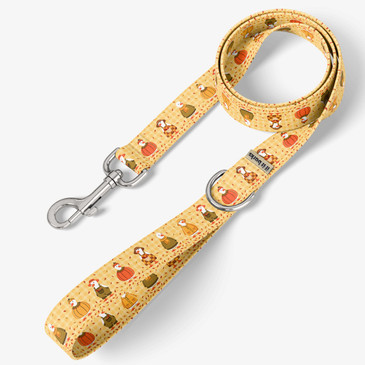 front view of leash