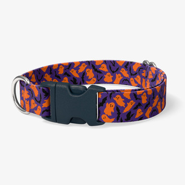 image of front of collar.