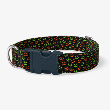 image of front of collar.