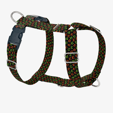 front view of harness