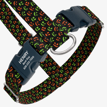 closeup view of harness with personalized buckle