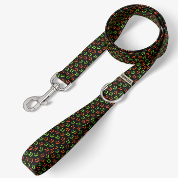 front view of leash