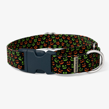 front view of collar