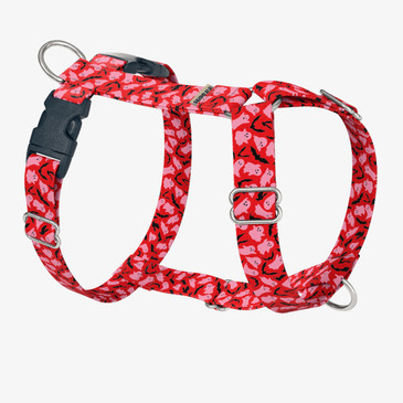 front view of harness