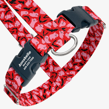 closeup view of harness with personalized buckle