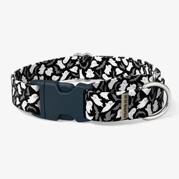 front view of collar