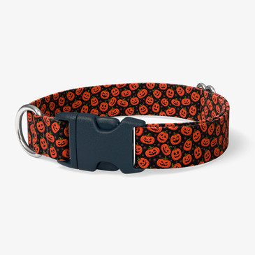 image of front of collar.