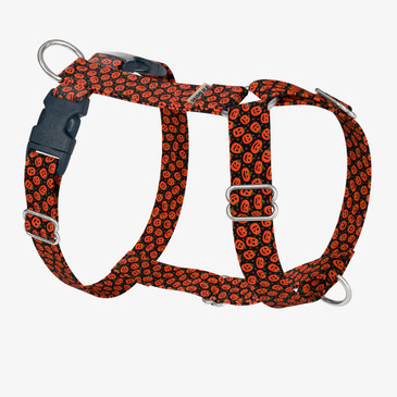 front view of harness