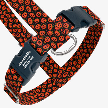 closeup view of harness with personalized buckle