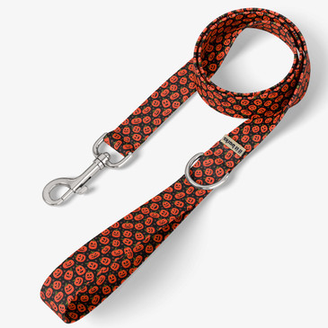front view of leash
